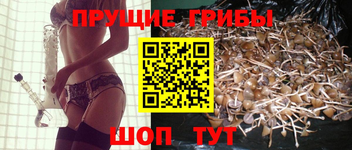 Красногорск  Галлюциногенные грибы Psilocybe  Псилоцибиновые грибы прущие грибы  Вход с VPN 
